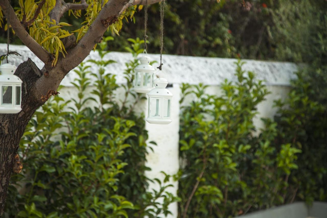 Villa Adelaide Suite & Room Torre a Mare Kültér fotó